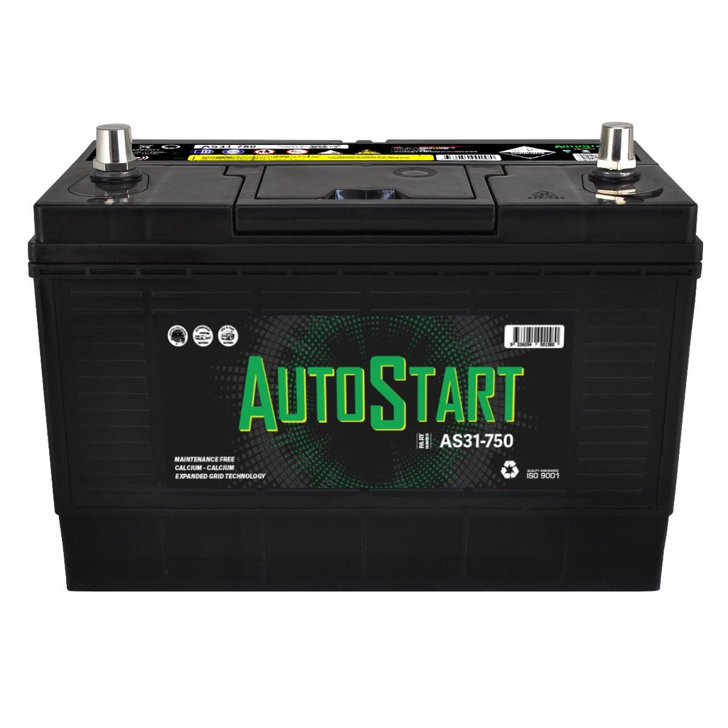 SSB 12V 750CCA Auto Start AS31-750Economy Maintenance Free Automotive & 4WD Battery