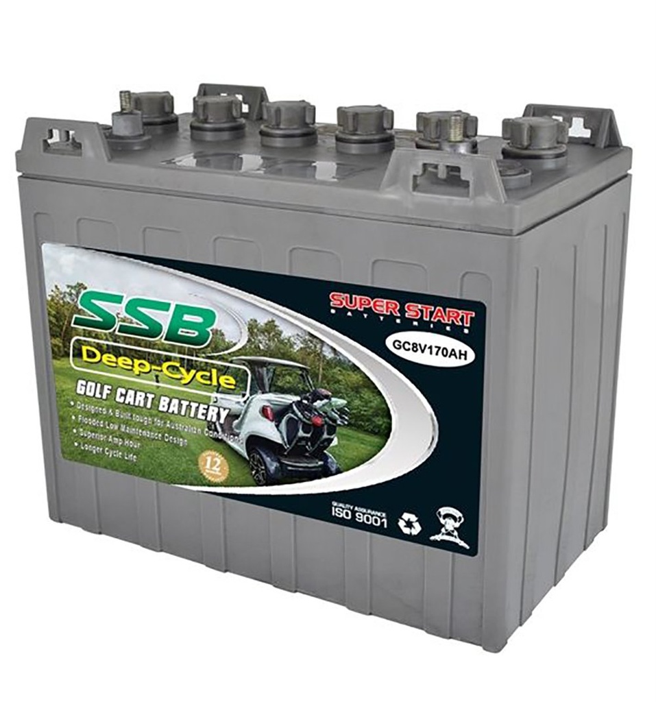 GC8V170AH 8V Flooded Battery