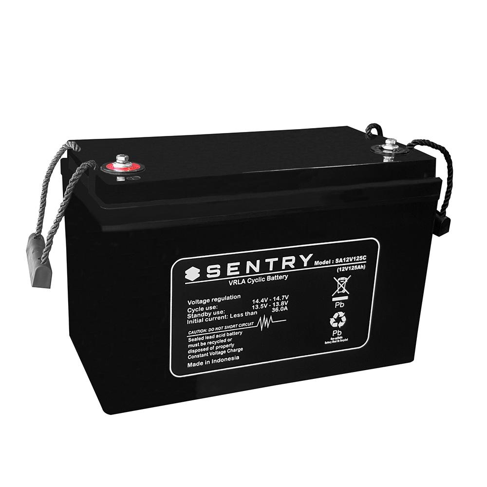 Sentry AGM 12V 125AH Deep Cycle Battery